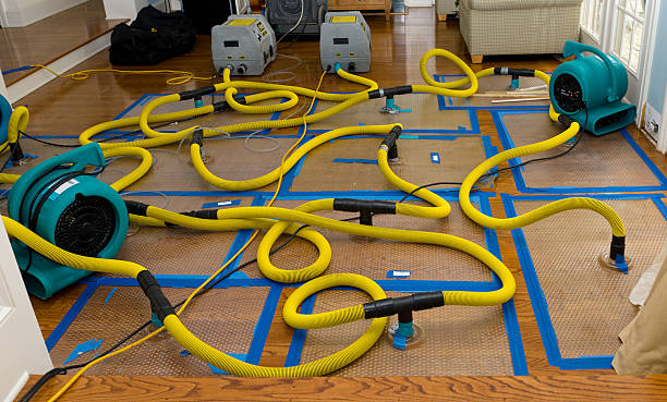 Professional Water Extraction technician working in Limestone, IL